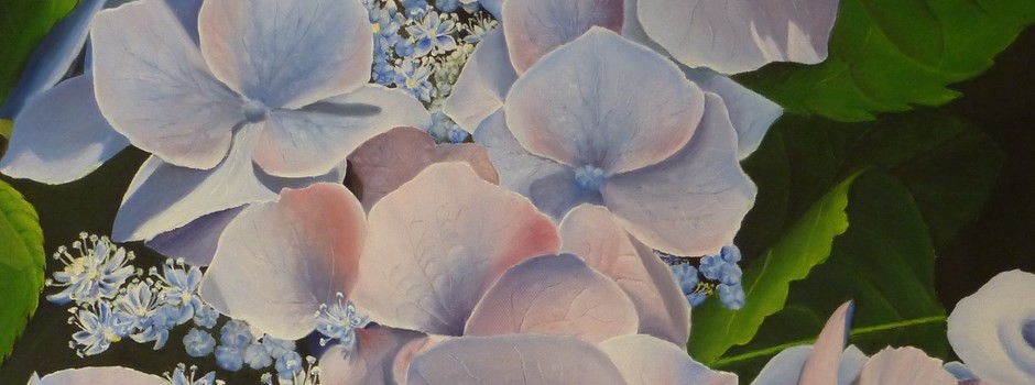 x-Hydrangéa (2).JPG